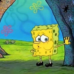 Meet your Posher, Kitty